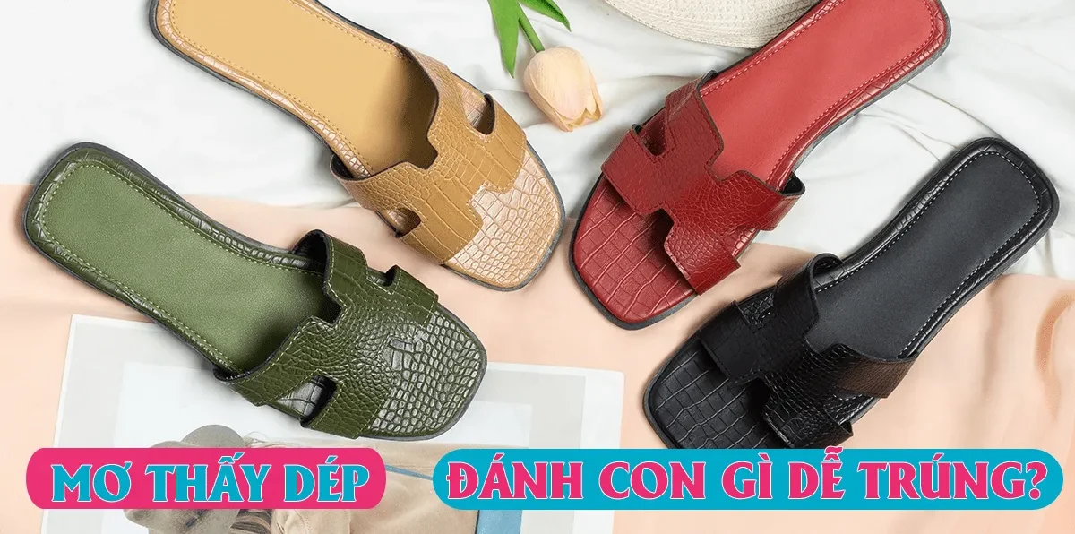 giai-ma-giac-mo-thay-dep-2-min_11zon