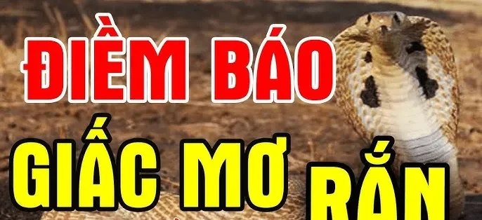 giai-ma-giac-mo-thay-ran-duoi-1-min_11zon