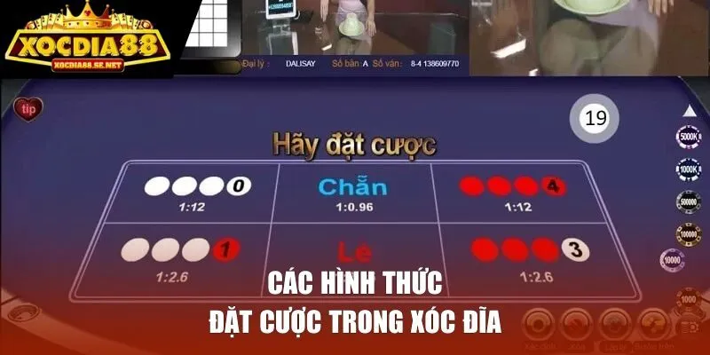 Tổng hợp các hình thức đặt cược trong xóc đĩa